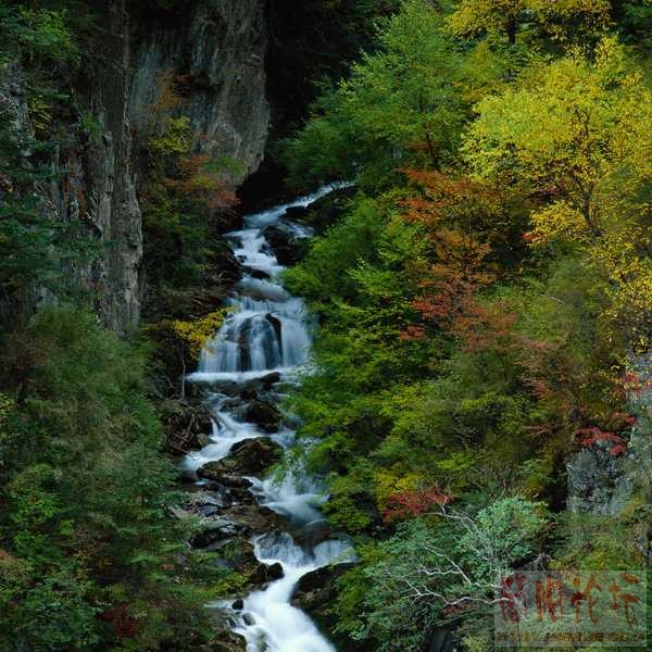 067[1].jpg